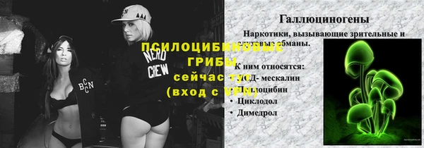 mdpv Инсар