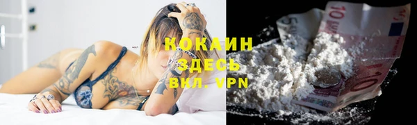 mdpv Инсар