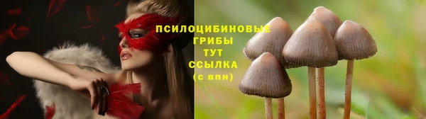 альфа пвп VHQ Инта