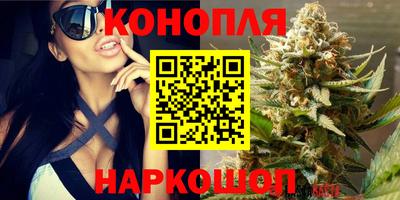 крисы Бугуруслан