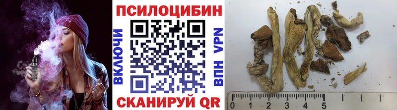 Галлюциногенные грибы мицелий  Майкоп 