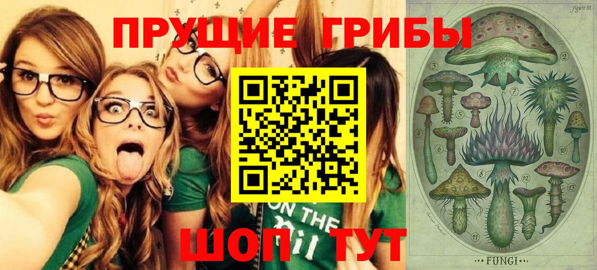 Галлюциногенные грибы GOLDEN TEACHER Майкоп