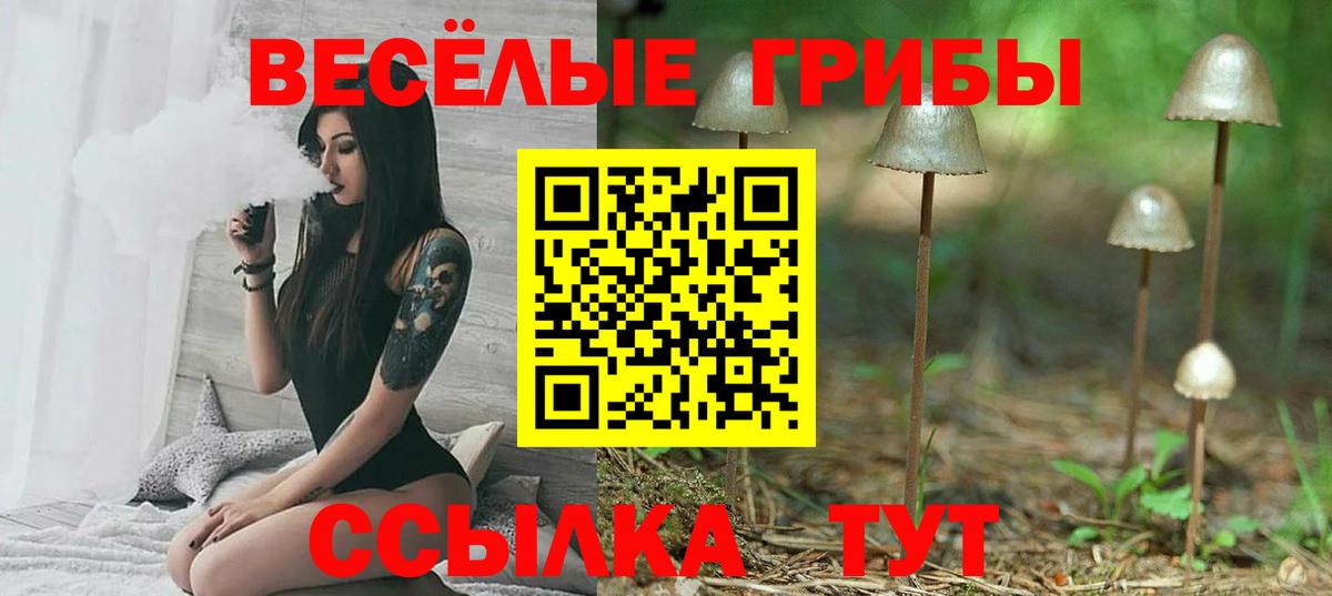 Псилоцибиновые грибы MAGIC MUSHROOMS  Галлюциногенные грибы GOLDEN TEACHER  Вход с VPN  Майкоп 